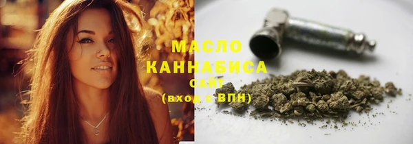 spice Богородицк