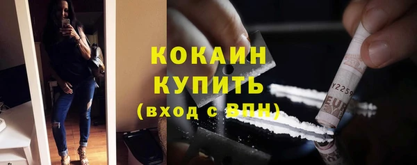 spice Богородицк