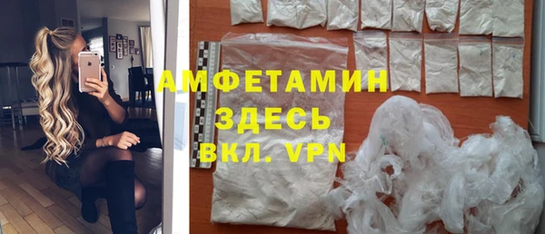 spice Богородицк