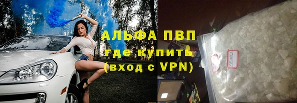spice Богородицк
