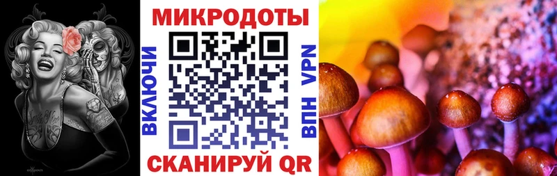 Псилоцибиновые грибы MAGIC MUSHROOMS  Белёв 